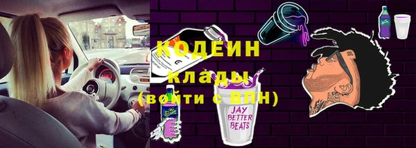 индика Белокуриха