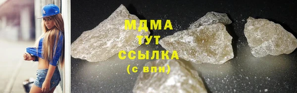 индика Белокуриха