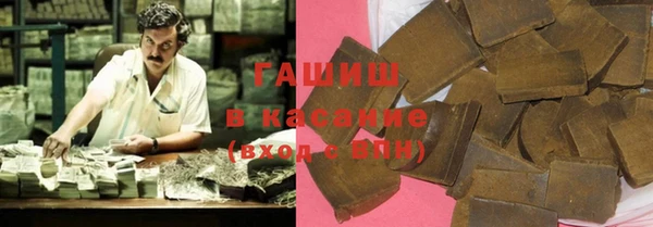 индика Белокуриха