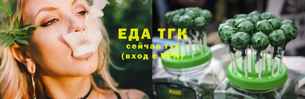 индика Белокуриха