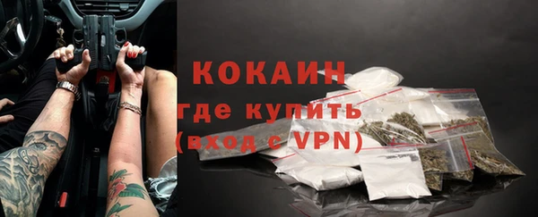 индика Белокуриха