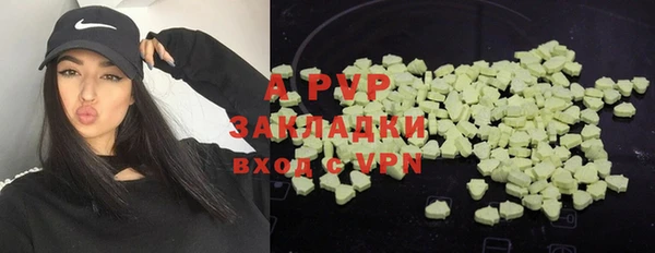 индика Белокуриха