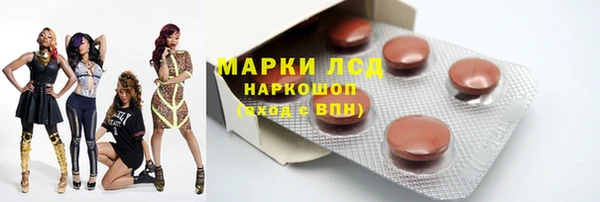 индика Белокуриха
