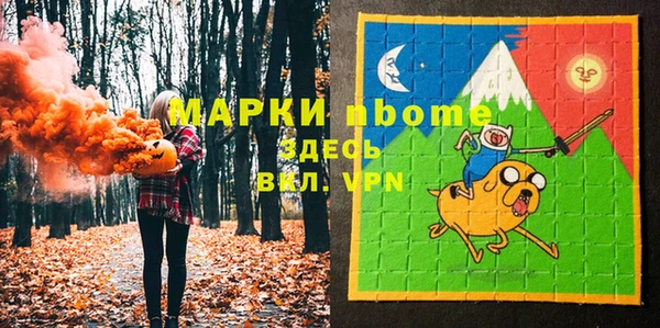 индика Белокуриха
