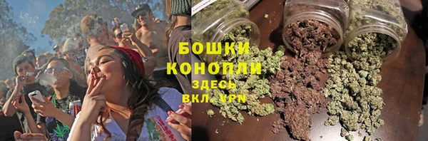 крисы Белоозёрский