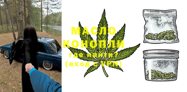 индика Белокуриха
