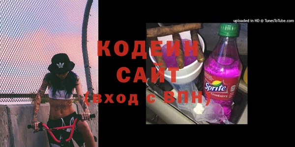 индика Белокуриха