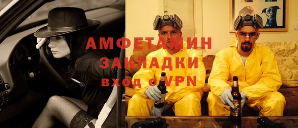 индика Белокуриха