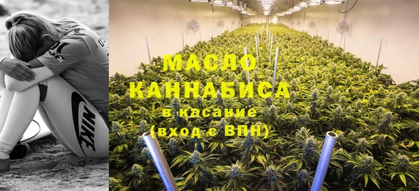 индика Белокуриха