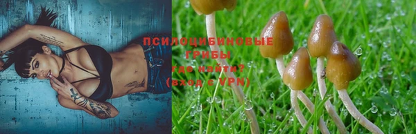 крисы Белоозёрский