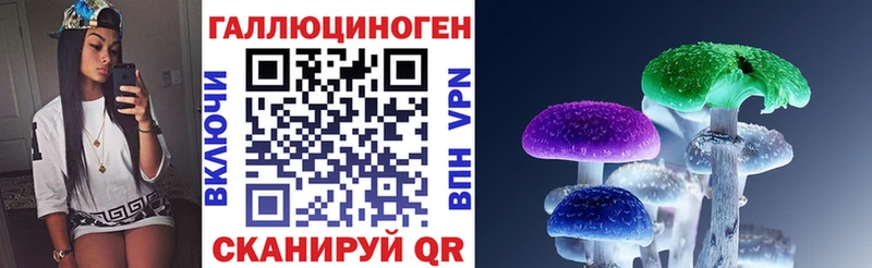 Галлюциногенные грибы Psilocybine cubensis  цены   Луховицы 